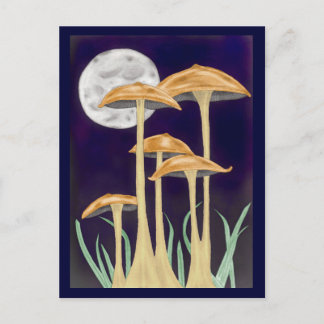 Carte Postale Champignons dans le clair de lune