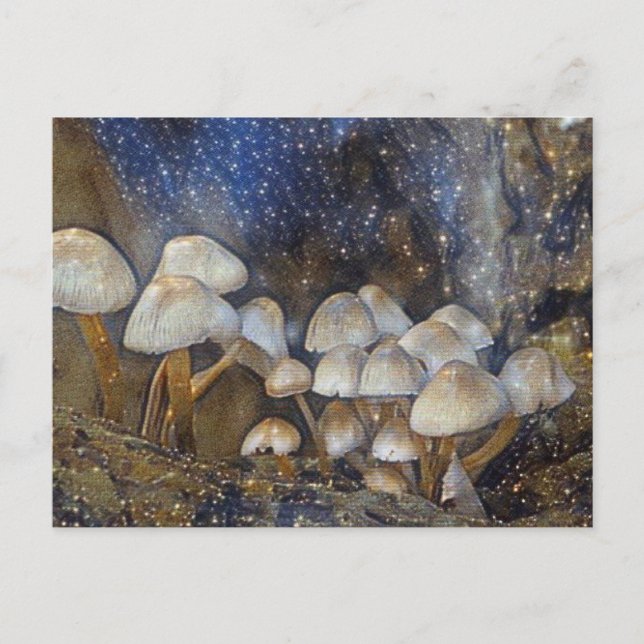 Carte Postale Champignons Magiques (Devant)