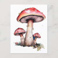 Champignons rouges