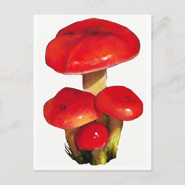 Carte Postale Champignons rouges brillants : huile Pastel Art su (Devant)