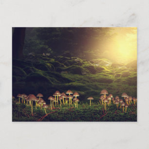 Carte Postale Champignons sauvages mûrs dans la forêt