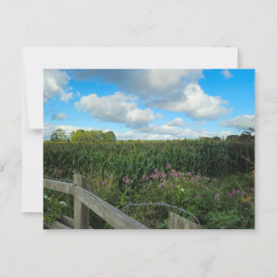 Carte Postale Champs