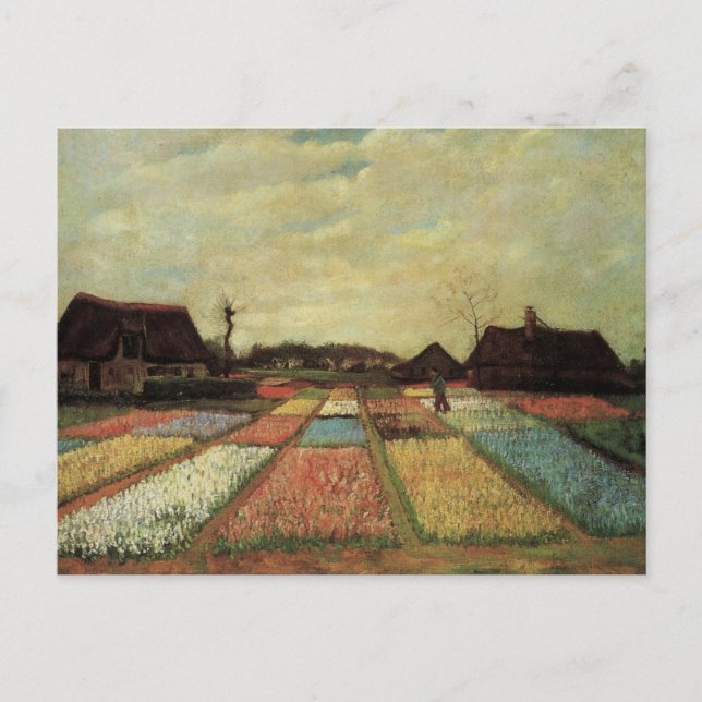 Carte Postale Champs de bulbes par Vincent van Gogh (Devant)