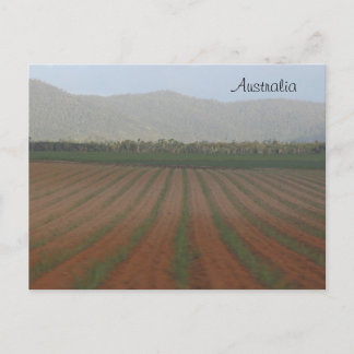 Carte Postale Champs de canne à sucre — Queensland, Australie