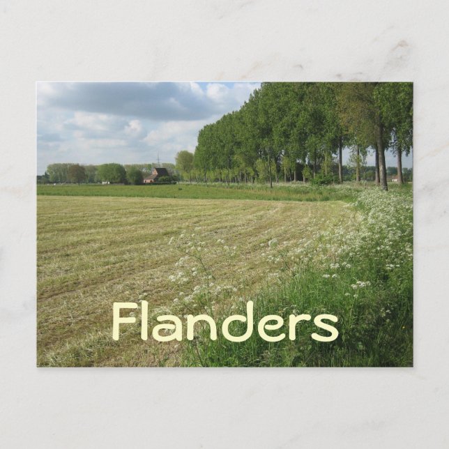 Carte Postale Champs de Flandre (Devant)