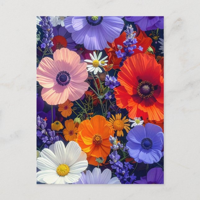 Carte Postale Champs de fleurs colorés (Devant)