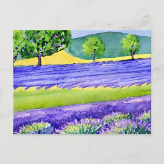 Carte Postale Champs de lavande France