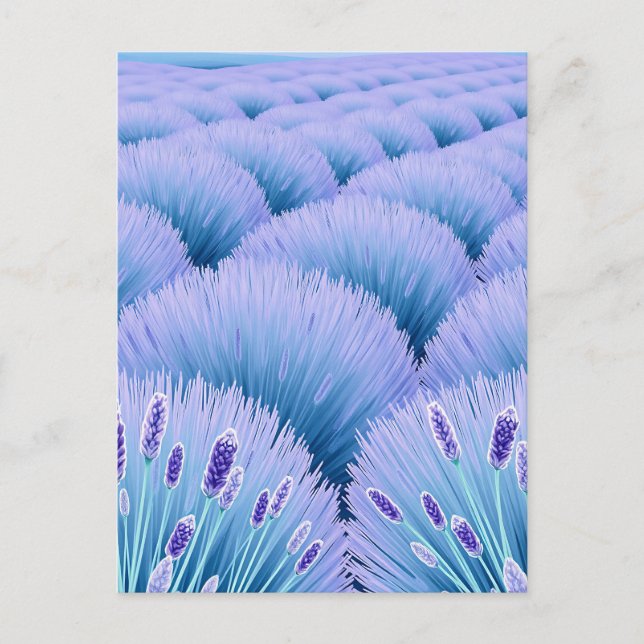 Carte Postale Champs de Lavande Rêveurs Esthétique Violet Bleu  (Devant)