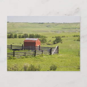 Carte Postale Champs De Pâturage Avec Une Cabane Rouge Et Une Zo