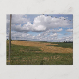 Carte Postale Champs de récolte dorée et paysage de nuages pitto