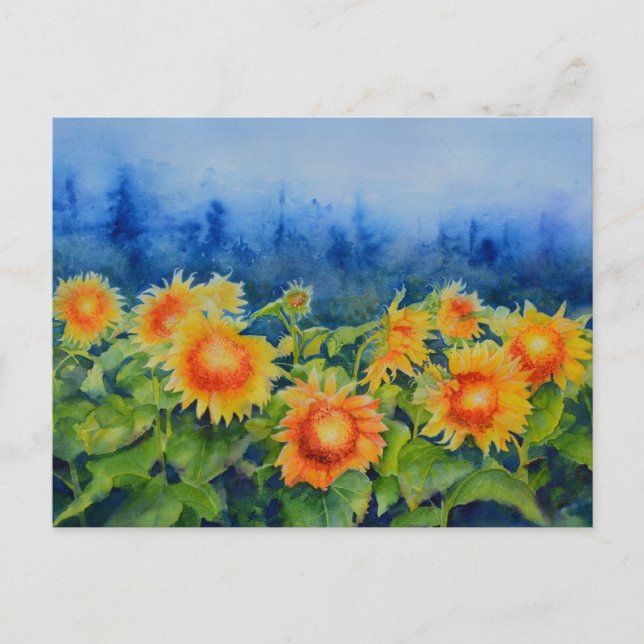 Carte Postale Champs de tournesol (Devant)
