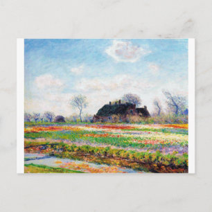 Carte Postale Champs de tulipes dans la Pays-Bas, Monet