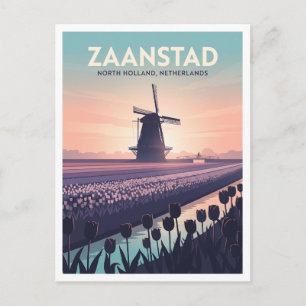 Carte Postale Champs de tulipes de Zaanse Schans Zaandam Pays-Ba