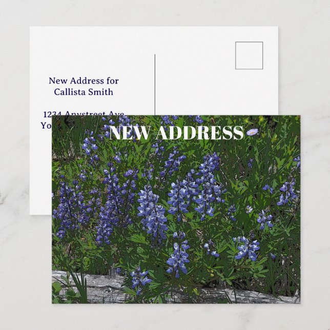 Carte Postale Changement d'adresse des lupins (Devant / Derrière)