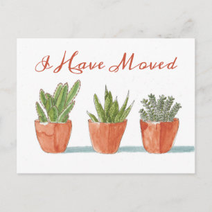 Carte Postale Changement d'adresse   Je Déménage   Cactus Aquare
