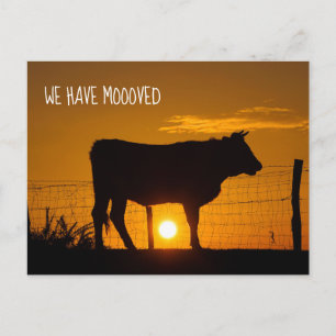 Carte Postale Changer d'adresse à la ferme mignon Nous avons dém