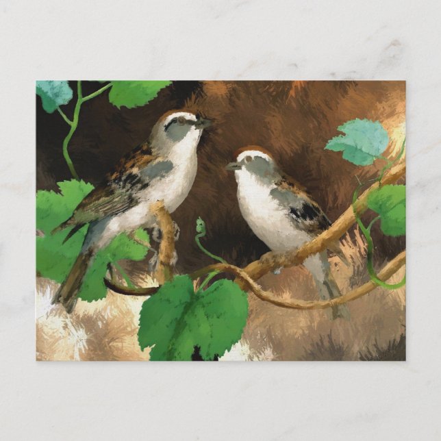 Carte Postale Chanson blanche (Devant)