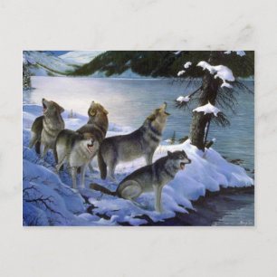 Carte Postale Chanson de loup, Wolves