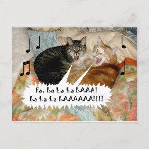 Carte Postale Chanter des chats