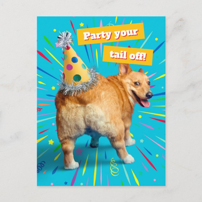 Carte Postale Chapeau d'anniversaire pour derrière de Corgi (Devant)