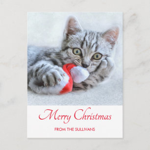 Carte Postale Chapeau de Noël de chat tabby gris mignon Xmas