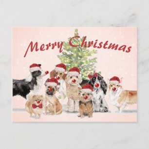 Carte Postale Chapeau de Noël Joyeux Chien Amateurs Papa Noël