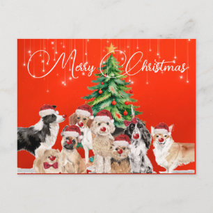 Carte Postale Chapeau de Père Noël joyeux pour les amoureux des
