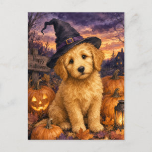 Carte Postale Chapeau de Sorcière Citrouille Goldendoodle