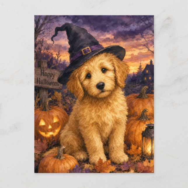 Carte Postale Chapeau de Sorcière Citrouille Goldendoodle (Devant)