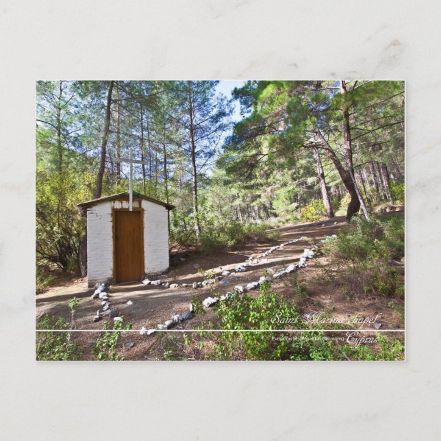 Carte Postale chapelle de la marina de saint à la forêt de Chypr (Devant)