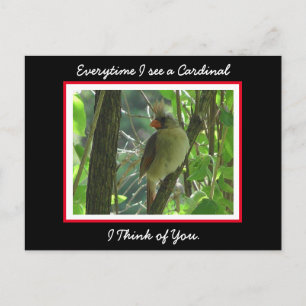 Carte Postale Chaque fois que je vois un Cardinal je pense à toi