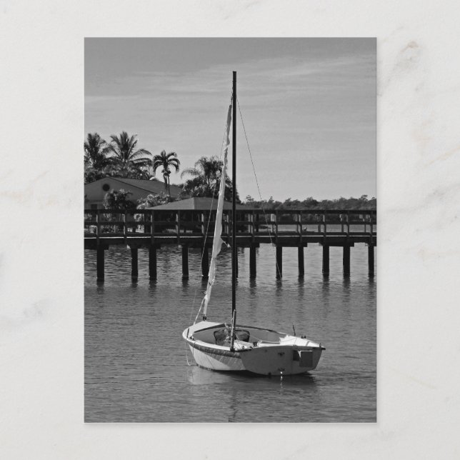 Carte Postale Chaque Matin, Tu Me Salues (Devant)