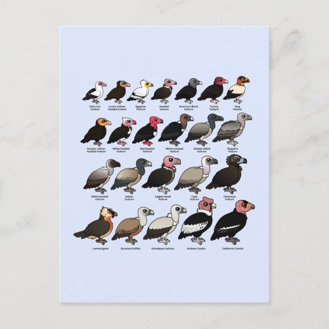 Carte Postale Chaque vautour (Devant)