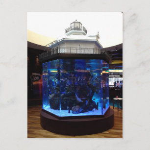 Carte Postale Char à poissons du phare de Middle Bay