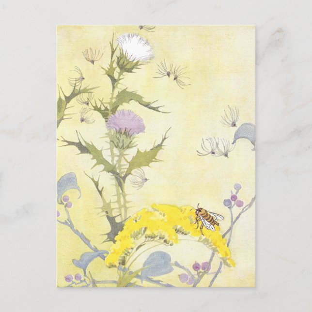 Carte Postale Chardon et abeille sur Goldenrod (Devant)