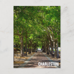 Carte Postale Charelston South Carolina Ravenel Waterfront Park