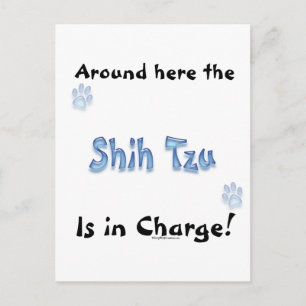Carte Postale Charge Shih Tzu