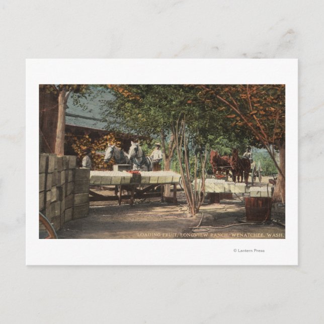 Carte Postale Chargement des fruits à Longview Ranch (Devant)