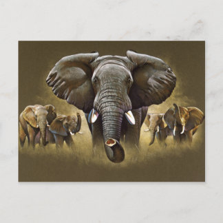 Carte Postale Chargement du troupeau d'éléphants