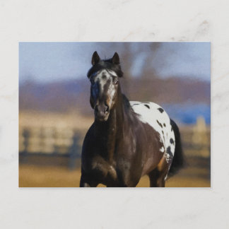 Carte Postale Chargeur