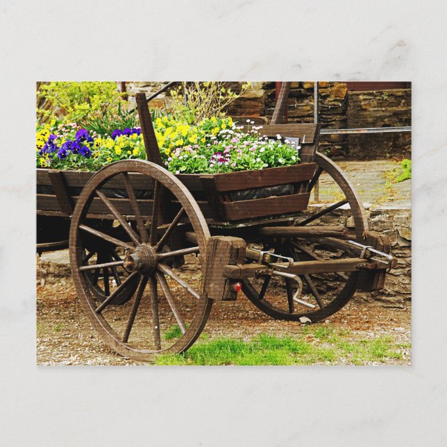 Carte Postale Chariot à fleurs (Devant)