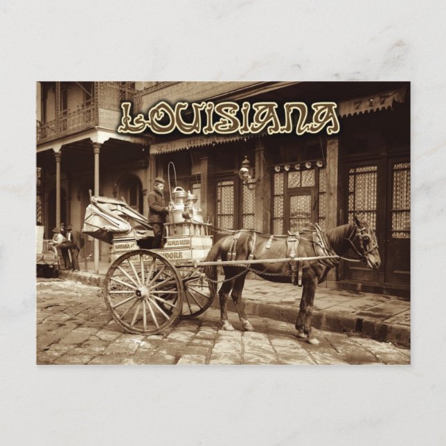Carte Postale Chariot à lait tiré pour le cheval, Nouvelle-Orléa (Devant)