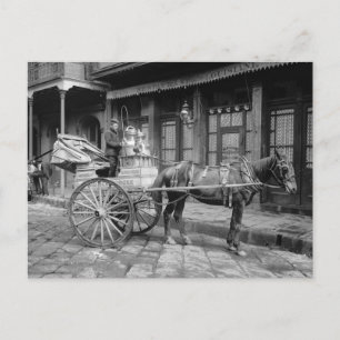 Carte Postale Chariot de livraison de lait, 1903