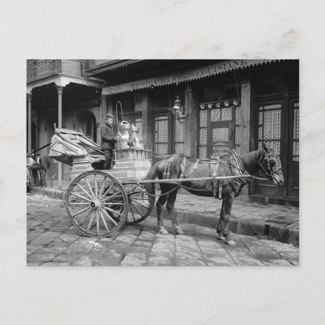 Carte Postale Chariot de livraison de lait, 1903 (Devant)