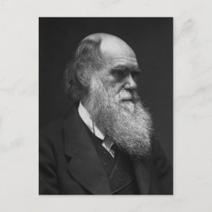 Carte postale Charles Darwin