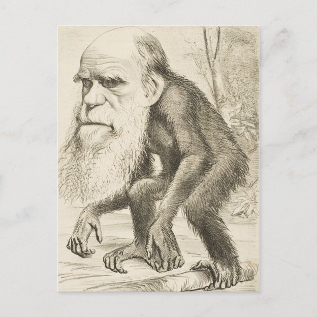 Carte Postale Charles Darwin Illustration originale (Devant)