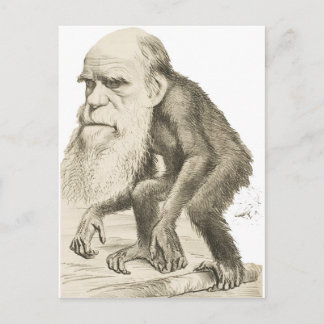 Carte Postale Charles Darwin l'homme singe