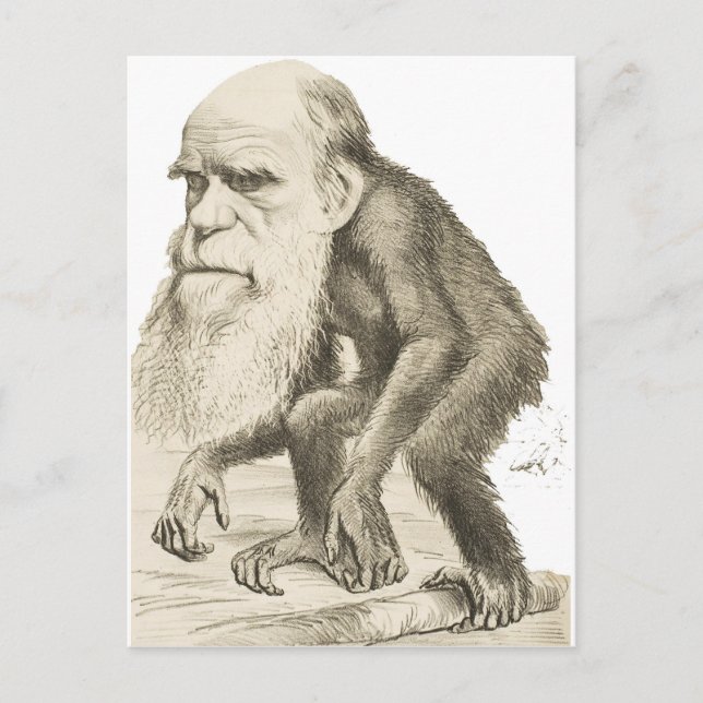 Carte Postale Charles Darwin l'homme singe (Devant)
