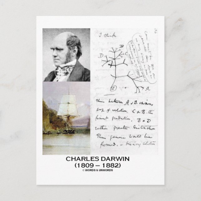 Carte Postale Charles Darwin (Phylogénétique Beagle Darwin HMS) (Devant)