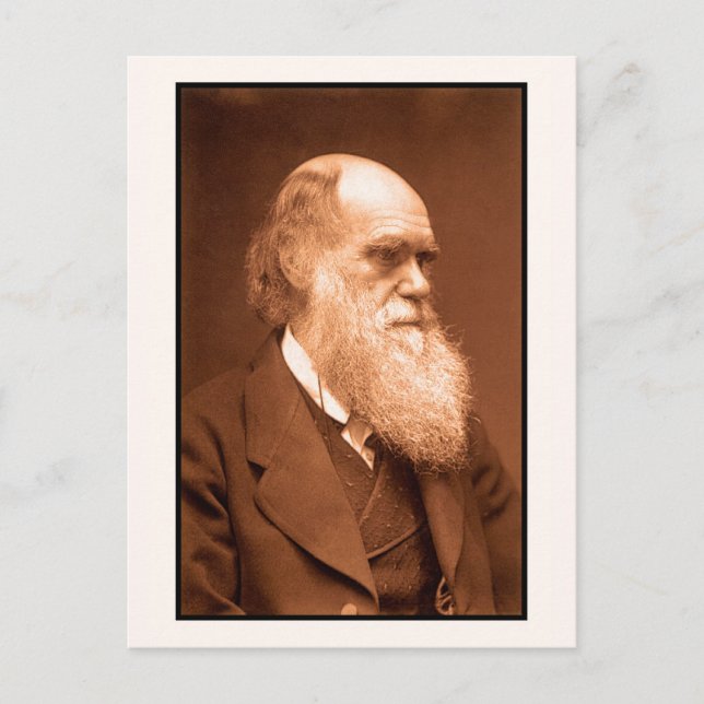 Carte Postale Charles Darwin vers 1874 (Devant)